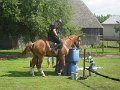 Den deti 2017   116